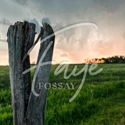 Manitoba Summer Prairie Pasture Meadow Photography