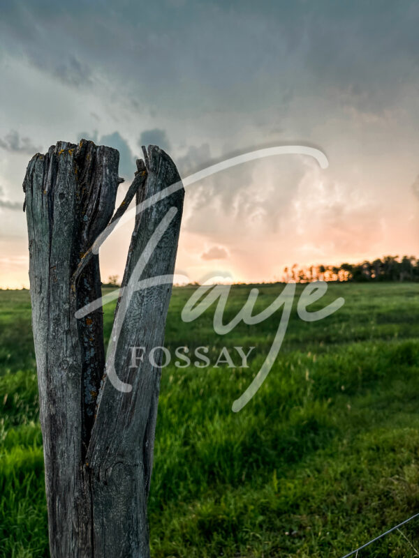 Manitoba Summer Prairie Pasture Meadow Photography